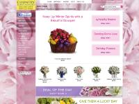 WINTER, OCCASIONS, Angels and Statuary, Wedding WINTER, OCCASIONS, Angels and Statuary, Wedding