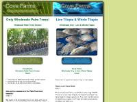 The Cove Farms Wholesale Palm Tree Grower / Whole Tilapia & Live Tilapia, Wholesale Tilapia Home Page The Cove Farms Wholesale Palm Tree Grower / Whole Tilapia & Live Tilapia, Wholesale Tilapia Home Page