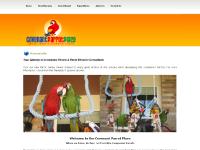 Parrots, Parrot Monk, Parrots, Parrot Monk Parrots, Parrot Monk, Parrots, Parrot Monk