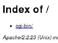 Index of / Index of /