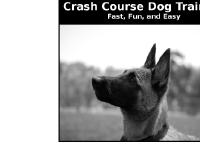 Crash Course Dog Training Crash Course Dog Training