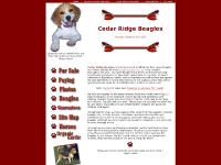 CR BEAGLES, HOME: Beagle Puppies for Sale