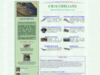 crocodilian.com alligator, caiman, crocodile crocodilian.com alligator, caiman, crocodile