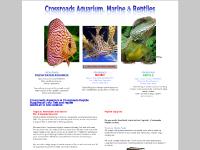 crossroadsaquarium.com.au Crossroads Aquarium, freshwater aquarium, marine aquarium crossroadsaquarium.com.au Crossroads Aquarium, freshwater aquarium, marine aquarium