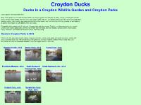 croydonducks.co.uk