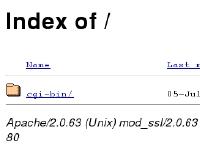 Index of / Index of /