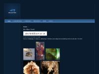  Photos, Research, CV and Publications, Collaborations