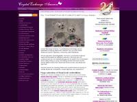 crystalexchange.com Background, Kristall Buzz, Buying Process