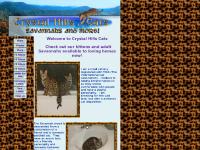  Kittens 2 Adults For Sale, Upcoming Litters, Past Litters, Queens
