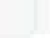 Crystalledge Border Collies and Australian Cattle Dogs