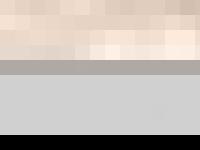 CSC CONSULTING SERVICES CSC CONSULTING SERVICES
