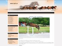 Chic Chocolat -08, Chic Carneol -09, Chic Nonstop -10, Chic Carneol -09 Chic Chocolat -08, Chic Carneol -09, Chic Nonstop -10, Chic Carneol -09