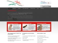 cureallpest.com.au cureallpest.com.au