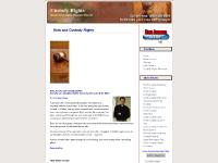 Kids and Custody Rights Kids and Custody Rights