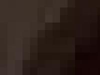 Cottrell Vermeulen Architecture