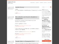 cyberbrutus.com IR0N0RR, Cyber Brutus, Export Import