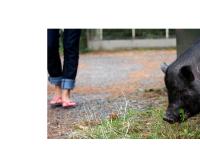 Cyrielle Tremblay Design Cyrielle Tremblay Design