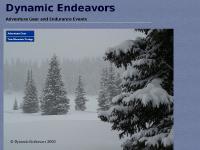 Dynamic Endeavors Dynamic Endeavors