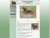 Min forside - www.dachsnytt.net