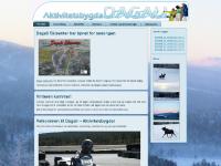 Dagali – Aktivitetsbygda