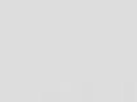 statistik för dahl-noren - Kerstin Dahl Nor&eacute;n