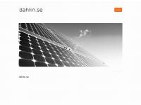 Dahlin & Co Information AB