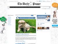 Puppies, Cute Puppy Names, Pictures of Puppies & More | Daily Puppy Puppies, Cute Puppy Names, Pictures of Puppies & More | Daily Puppy