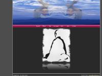 daitoryuaikido.com daitoryuaikido.com