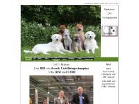 dajkis-co.se dajkis-co.se