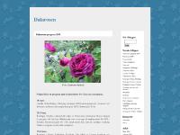  Rosor, Trackbacks (0), Rosor, Trackbacks (0)