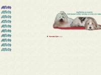 Välkommen till Dalsängs Kennel