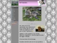  Planer, Kattunger, A-kullet, B-kullet