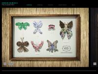 Damian Heinisch, Damian Heinisch Damian Heinisch, Damian Heinisch