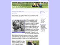 Valkommen till Dandy-Lions