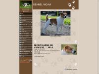 dansksvensk-gaardshund.com Om oss, Kennelen, Itea dansksvensk-gaardshund.com Om oss, Kennelen, Itea