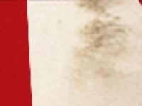 statistik för daphnes - Daphnes | Artillerigatan 56 | 08-662 35 62 statistik för daphnes - Daphnes | Artillerigatan 56 | 08-662 35 62