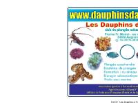 subaquatique, sous-marine, eau, ffessm subaquatique, sous-marine, eau, ffessm