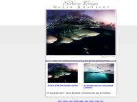 David Doubilet Home Page: Underwater Photography: Assignment, Stock and Fine Art