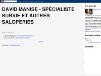 davidmanise.blogspot.com - davidmanise davidmanise.blogspot.com - davidmanise
