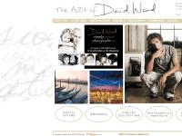 David Ward Art