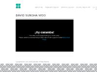 davidwoo - David San Woo | Graphic Designer, Digital Media Artist, Experimental Artist