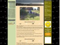 davikgard.com Davik gard, Kurs og aktiviteter, Mitt fotoalbum