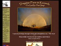 daystarfarmandkennels.com Our Practices & Facilities, Available Adults, Our Mini Schnauzer Ladies