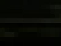 dazzledots - Dazzledots Bengals dazzledots - Dazzledots Bengals