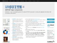 dbnetsuite.com