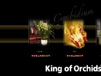 de5cymbidium.eu Nederlands, English, Fran?ais de5cymbidium.eu Nederlands, English, Fran?ais