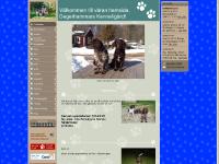 liten degerhammar.se skärmbild