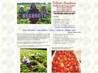 Degroot's Strawberries Degroot's Strawberries