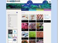 De Jong Marinelife Import Export Wholesale of marine life De Jong Marinelife Import Export Wholesale of marine life