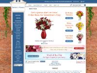  BIRTHDAY, WINTER, OCCASIONS, Make Someone Smile